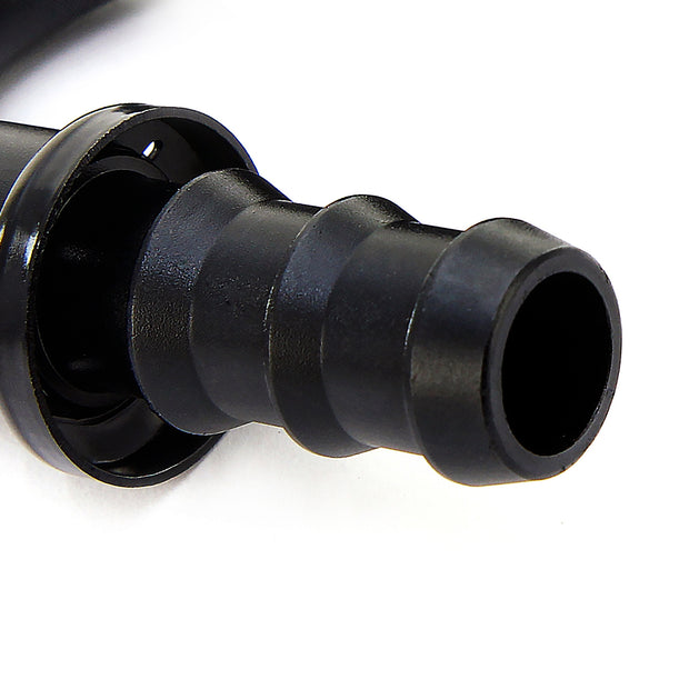 150_closeup1.jpg