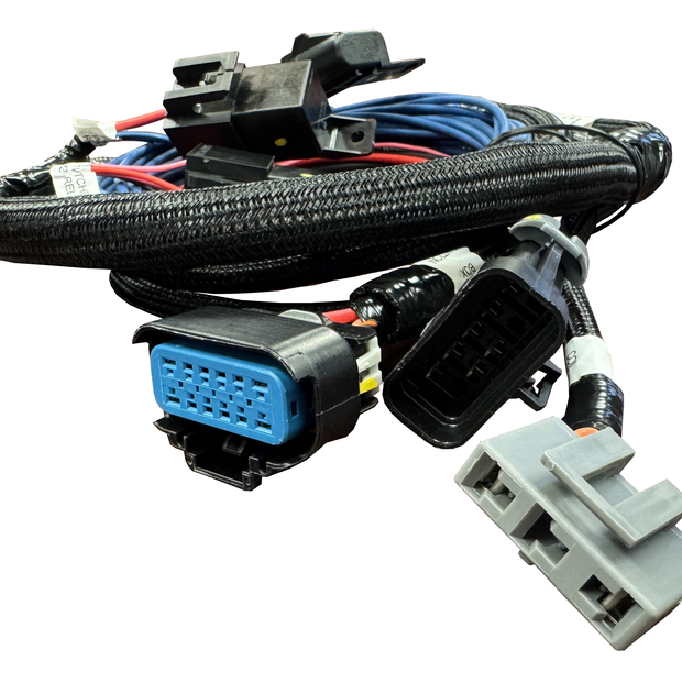 558-328_01_P01_CON.png