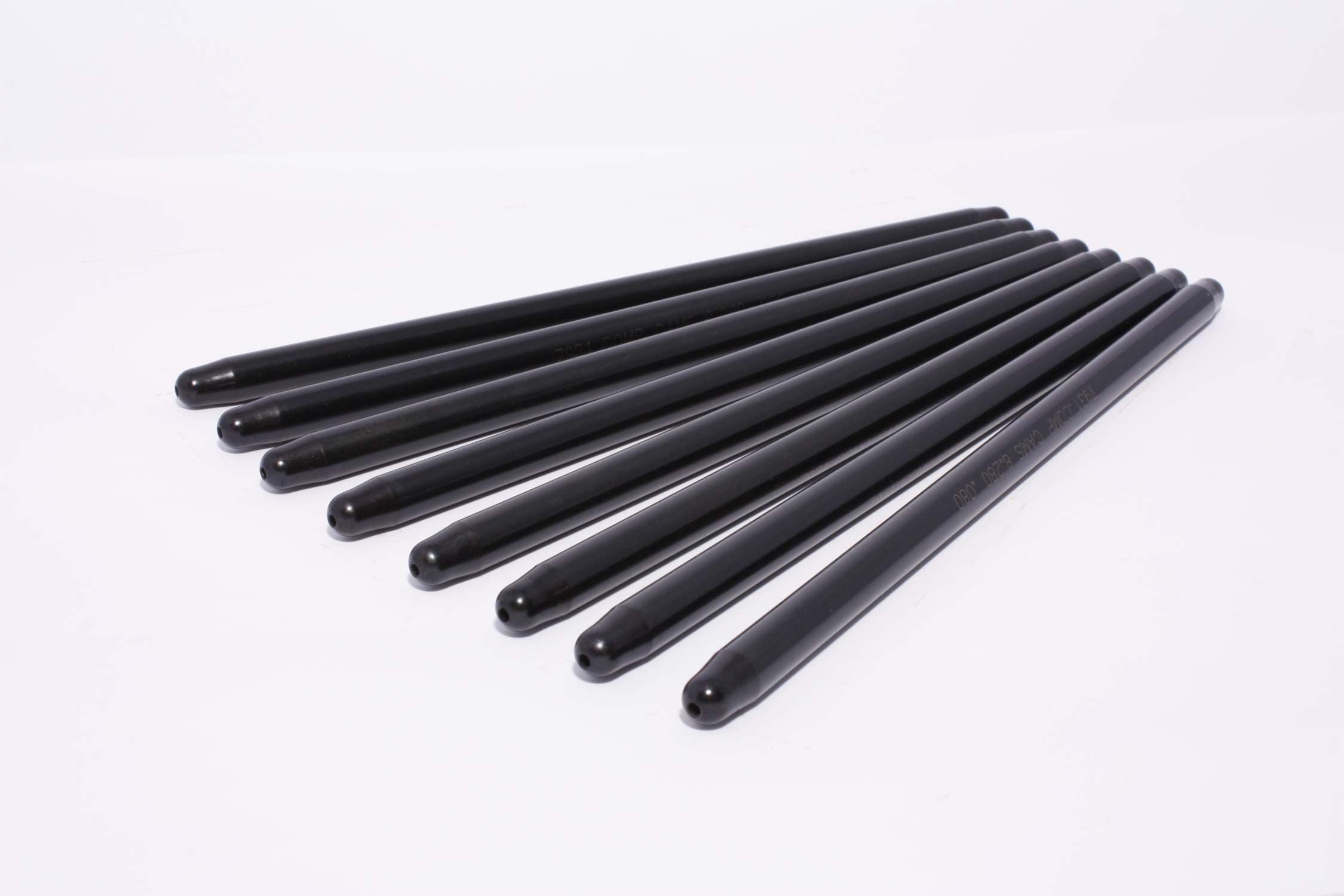 7961-8.jpg