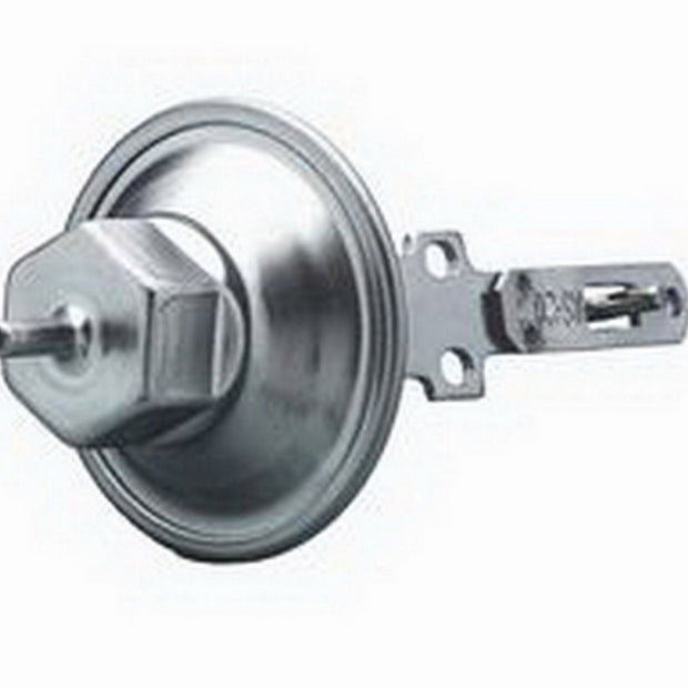 ACL31035.jpg