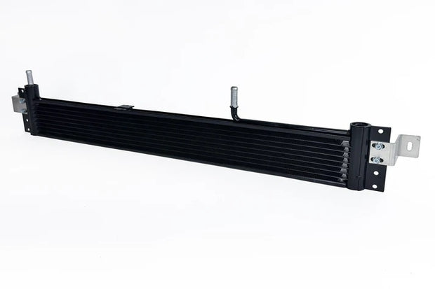 CSF8102.jpg