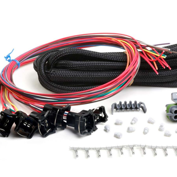 HLY558-204.jpg