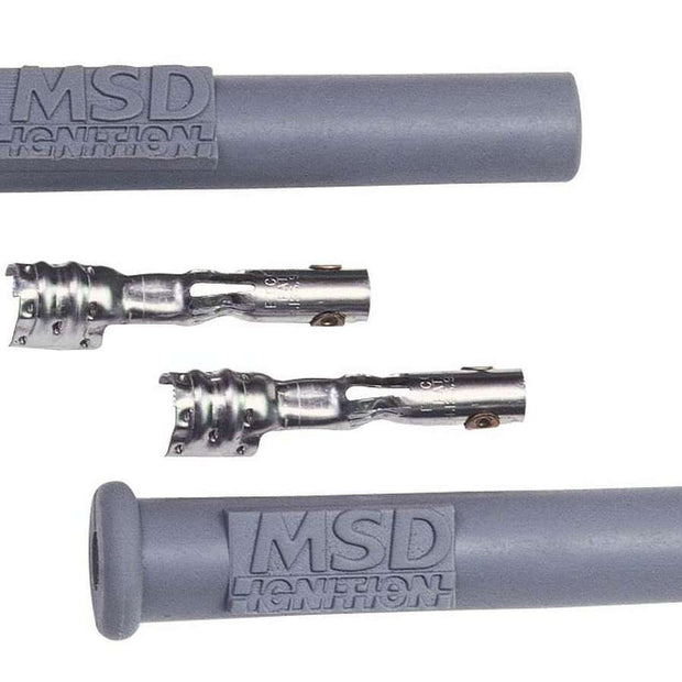 MSD3301.jpg