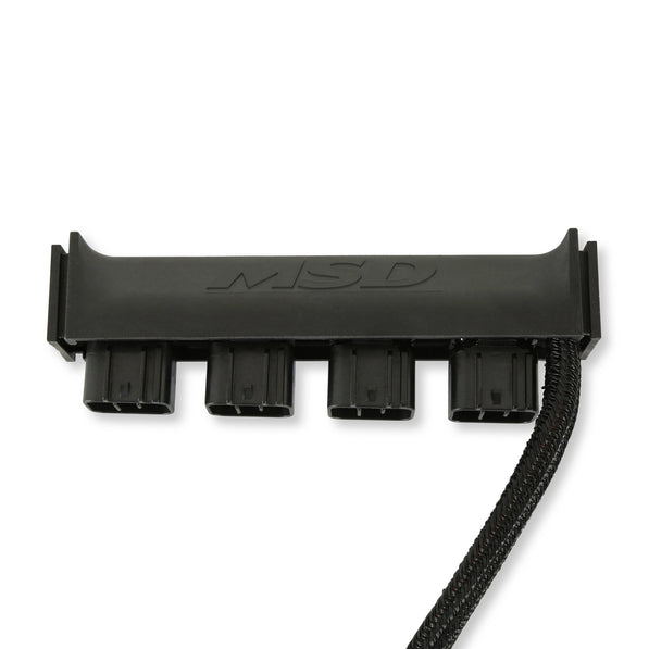 MSD77403.jpg