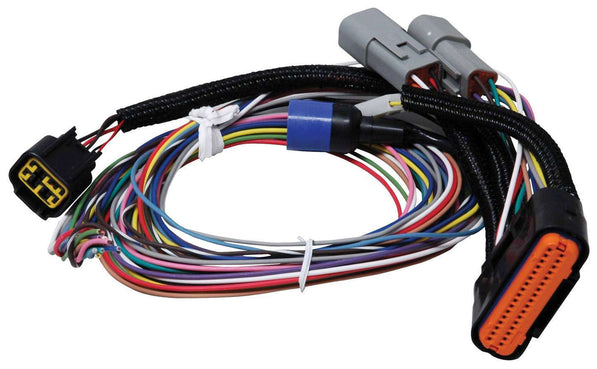 MSD7780.jpg