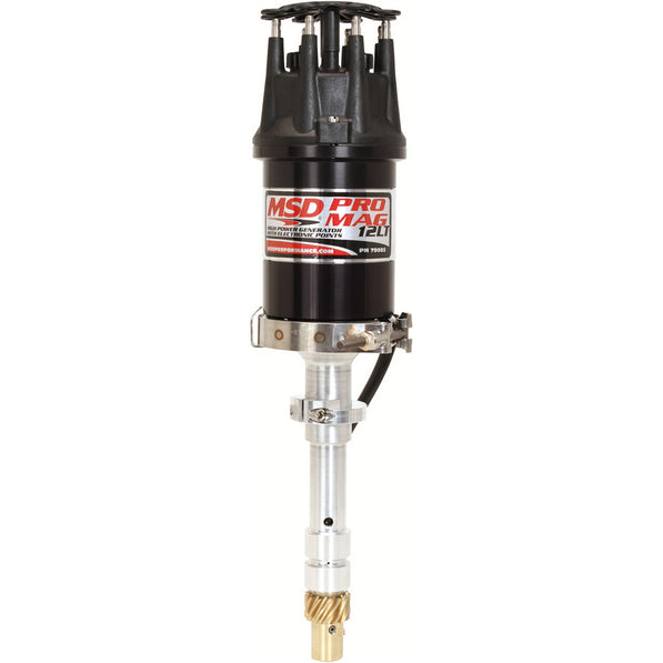 MSD79082.jpg