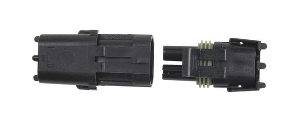 MSD8173.jpg