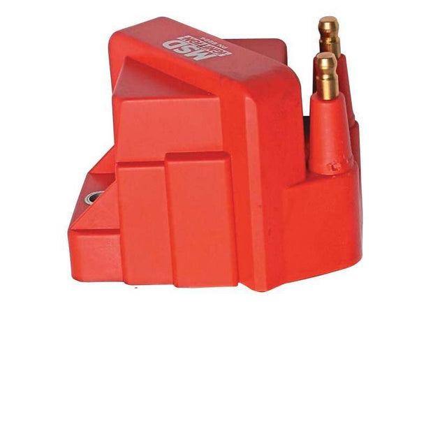 MSD8224.jpg