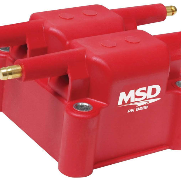 MSD8239.jpg