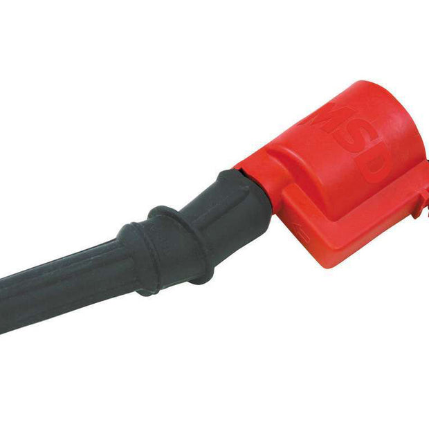 MSD8242.jpg