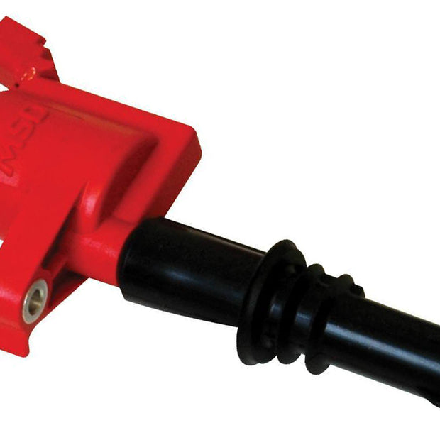 MSD8243.jpg