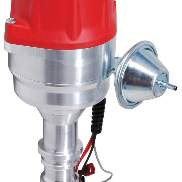 MSD8354.jpg