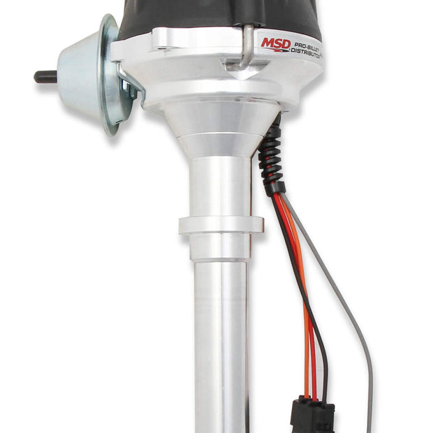 MSD83605.jpg