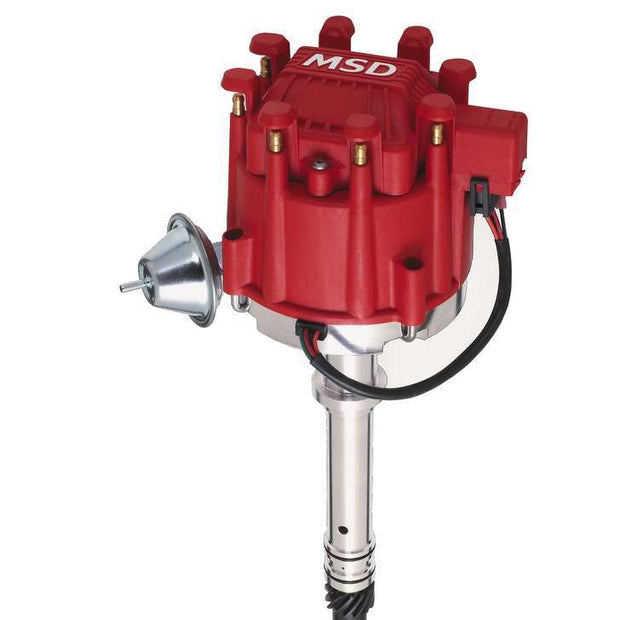 MSD8365.jpg