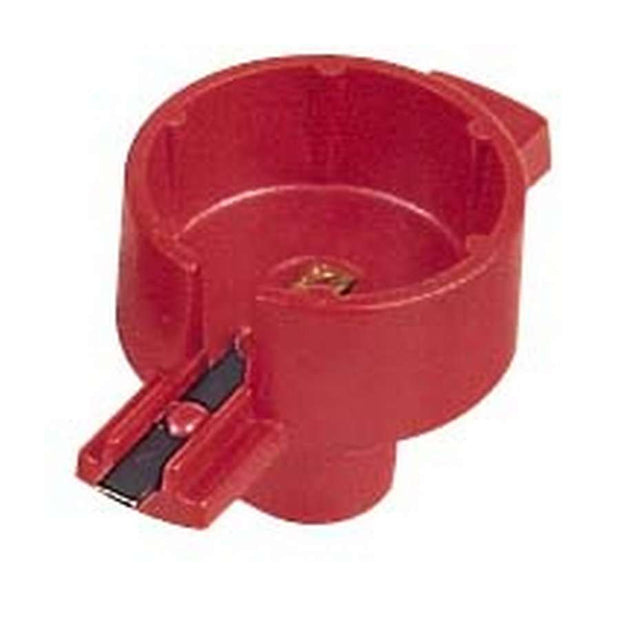 MSD8427.jpg