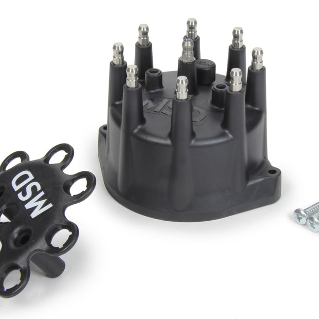 MSD84313.jpg