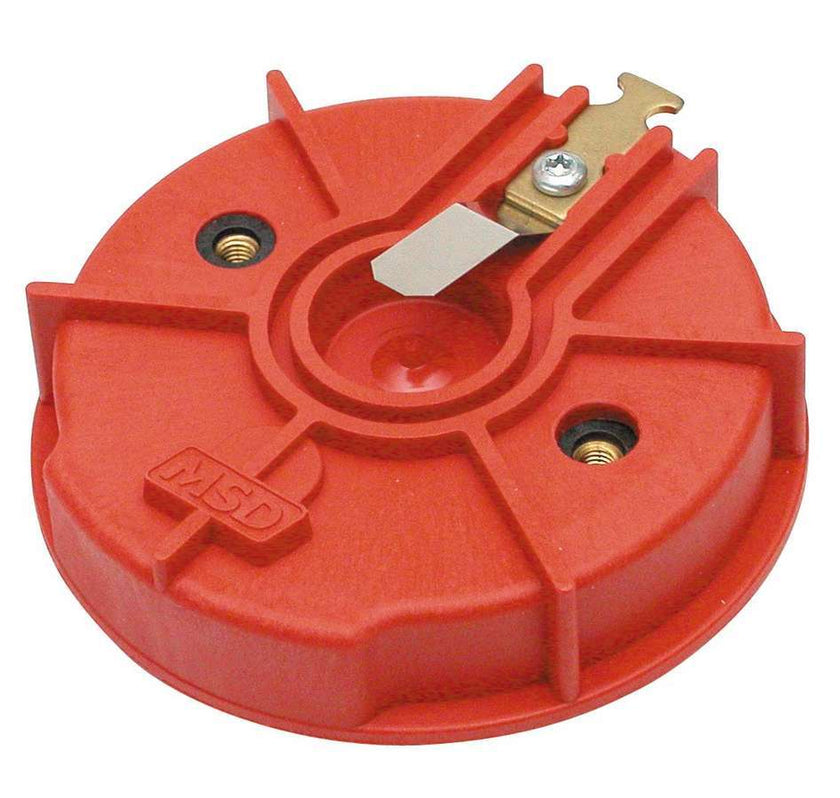 MSD8457.jpg
