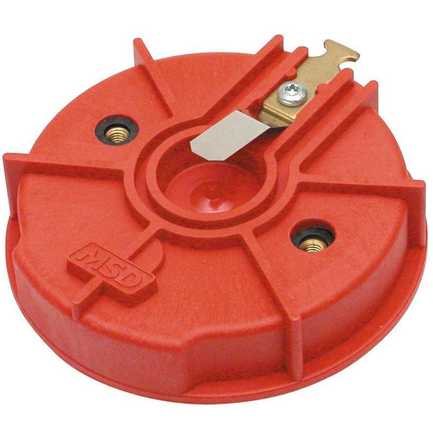 MSD8457.jpg