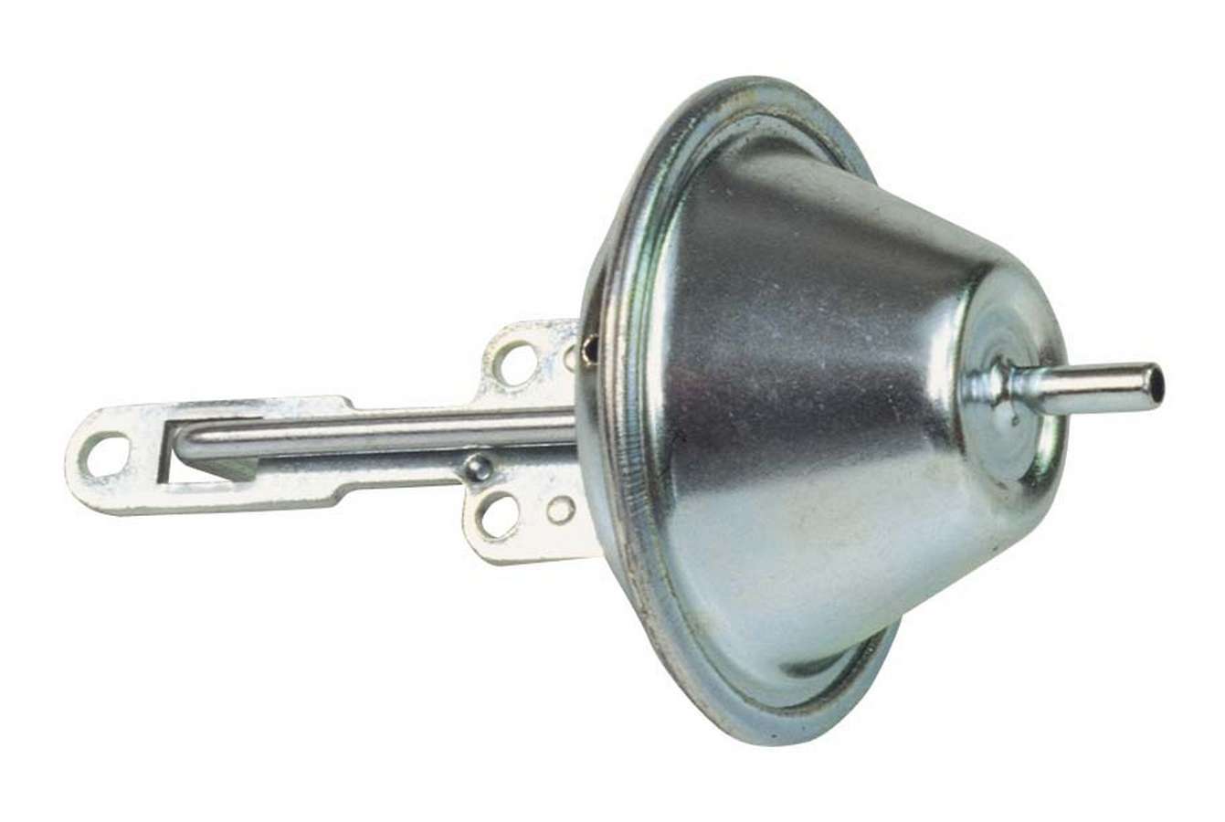 MSD8463.jpg