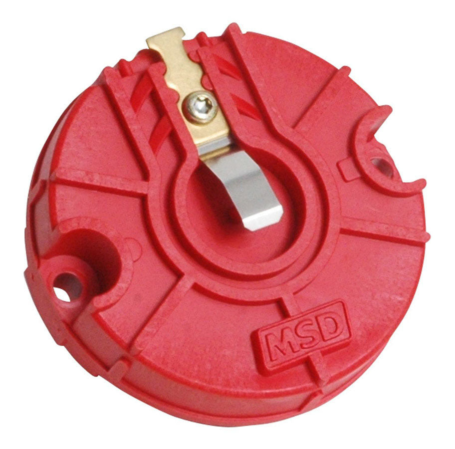 MSD84673.jpg