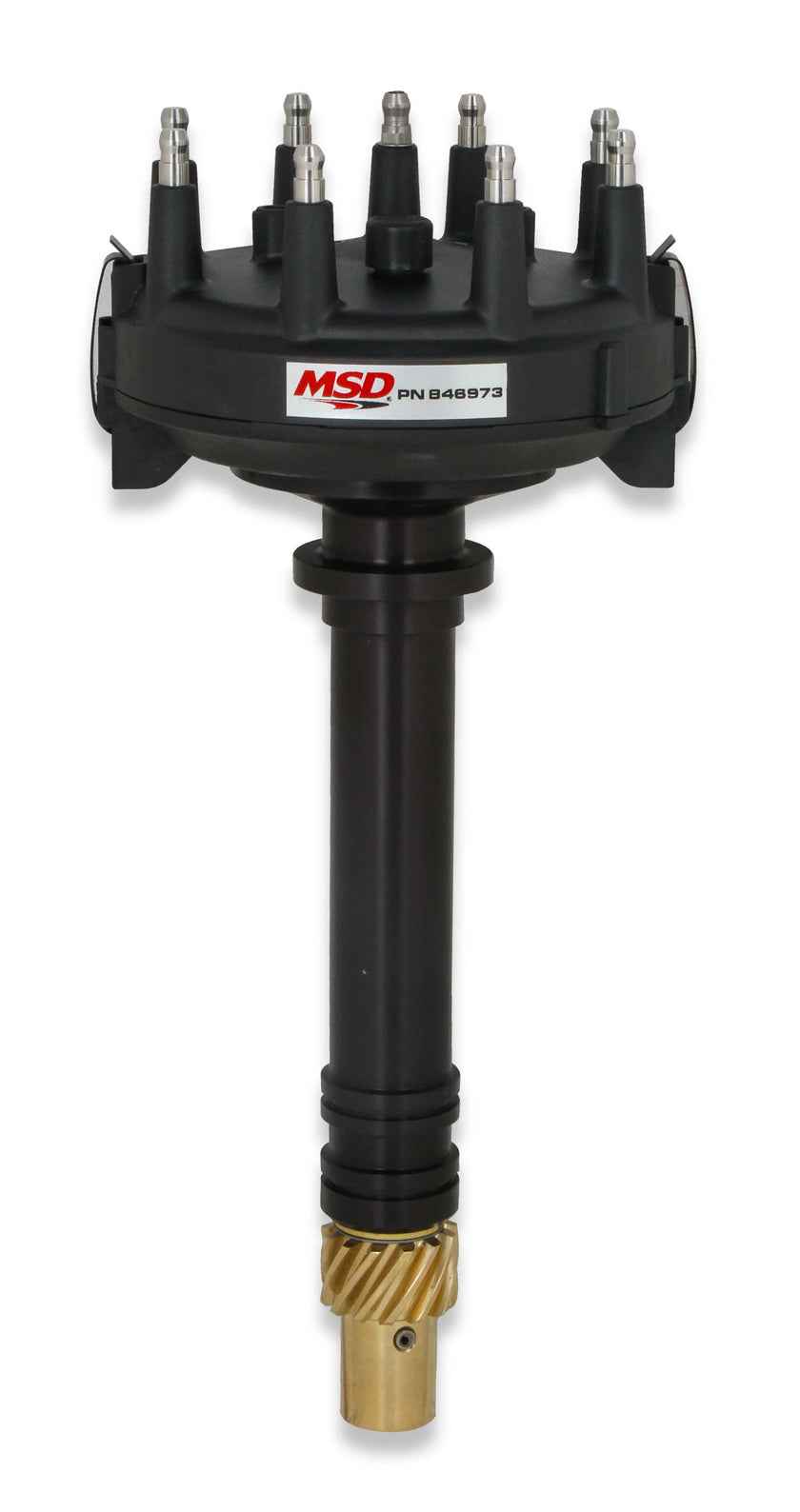 MSD846973.jpg