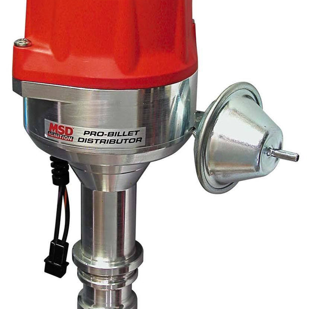 MSD8478.jpg