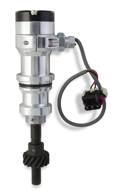 MSD85221.jpg