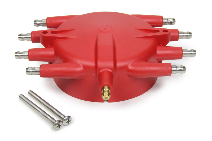 MSD8541.jpg