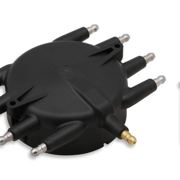 MSD85413.jpg