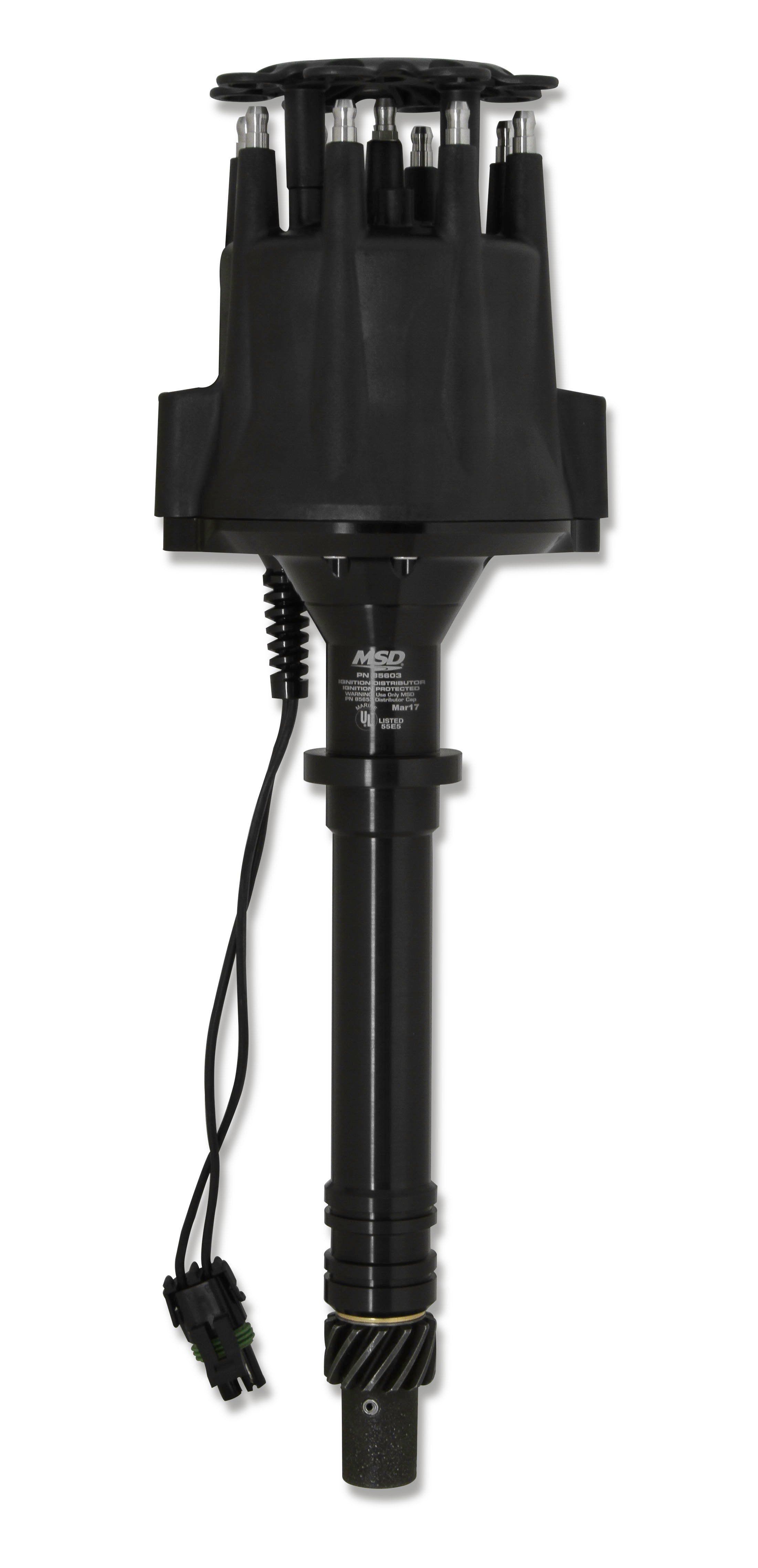 MSD85603.jpg
