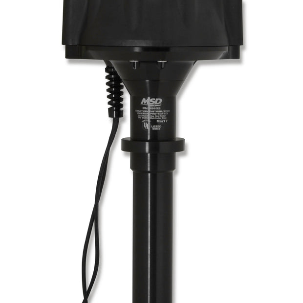 MSD85603.jpg