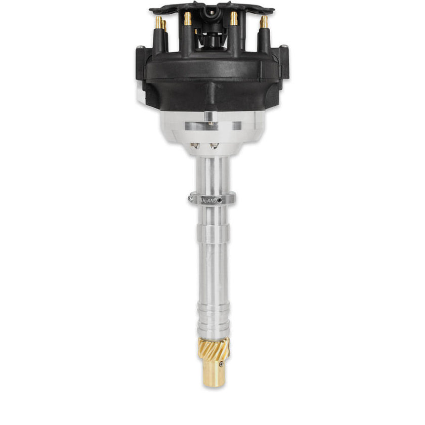 MSD85705.jpg