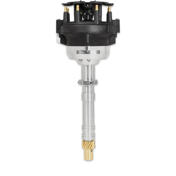 MSD85705.jpg