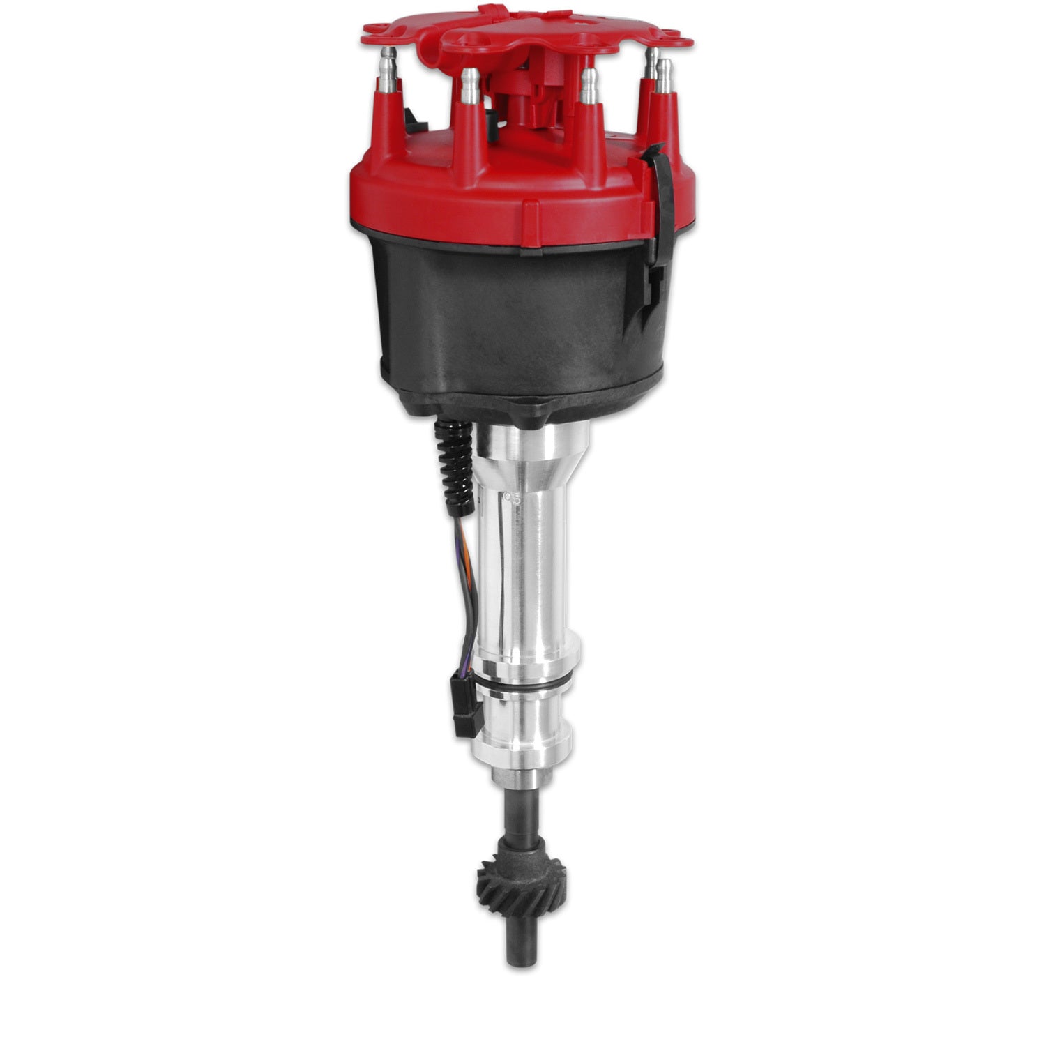 MSD85801.jpg