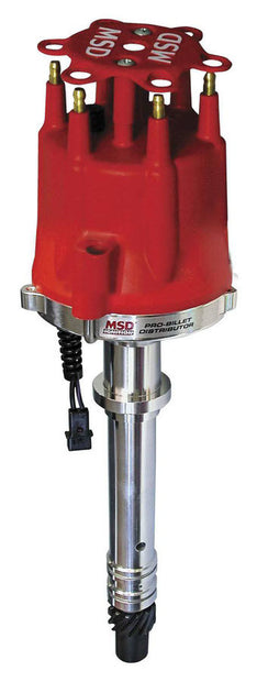 MSD8597.jpg