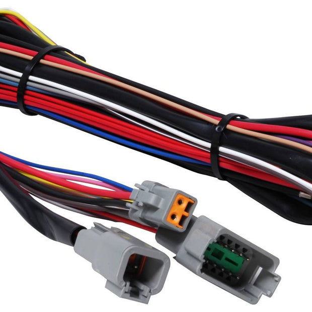MSD8855.jpg