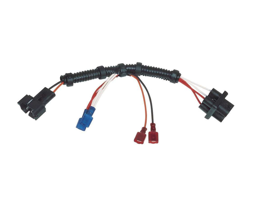 MSD8876.jpg