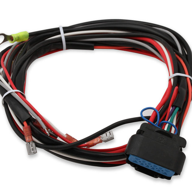 MSD8897.jpg
