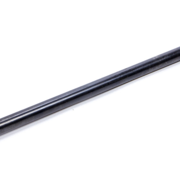 MSDASY10039.jpg