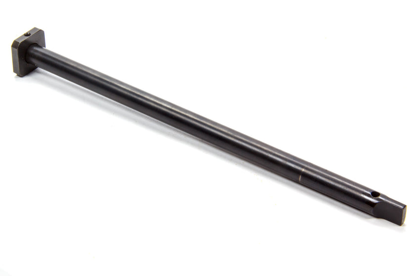 MSDASY15667.jpg