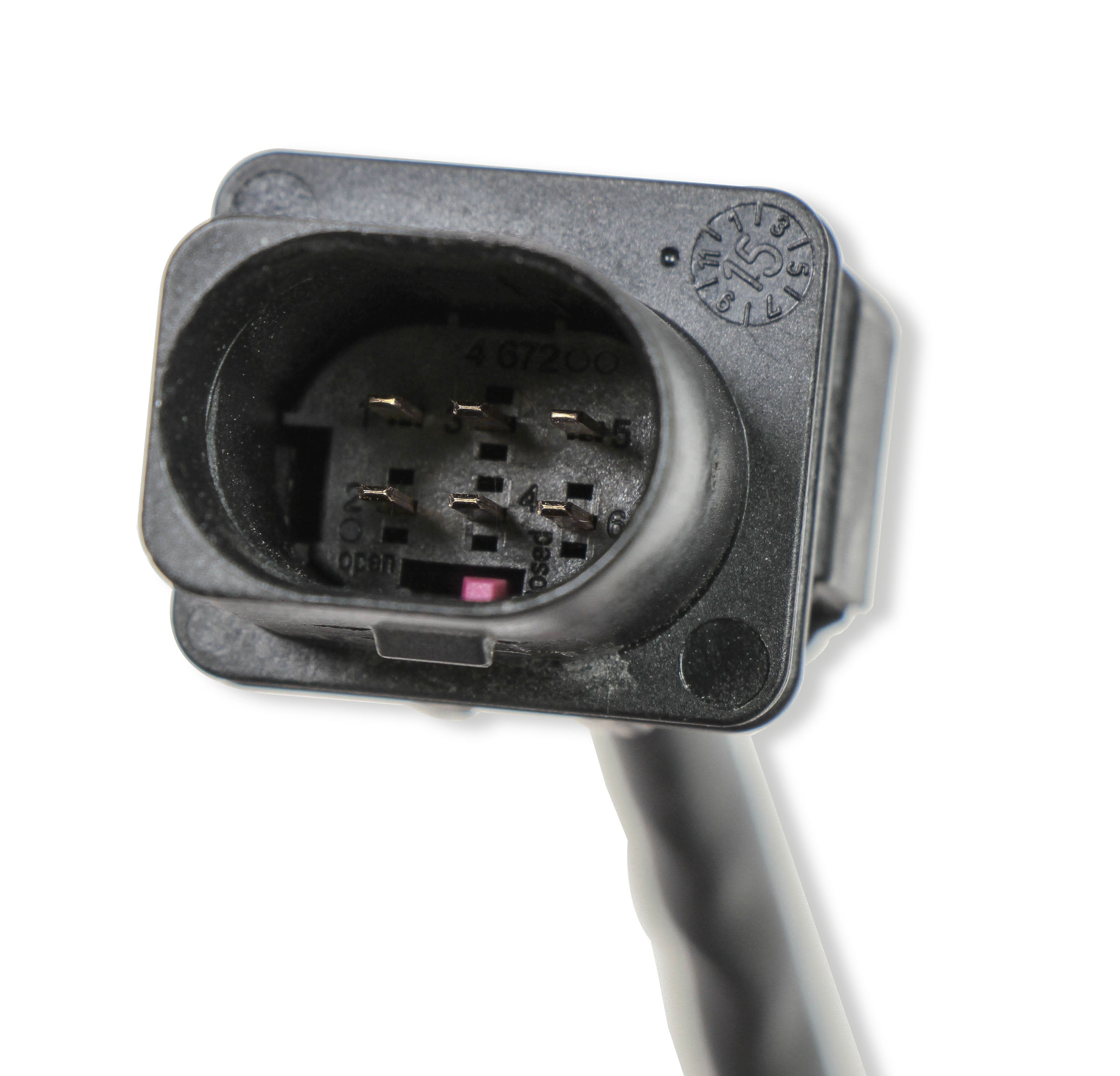 holleywb02plug_03.jpg