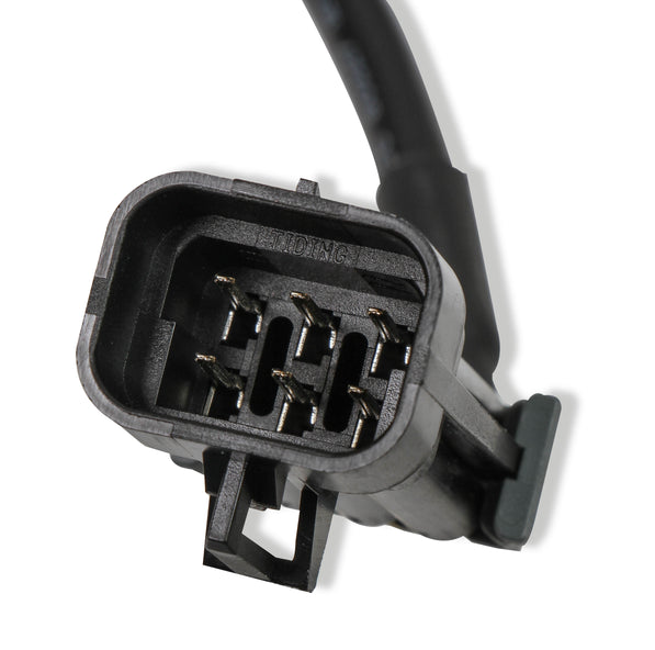 holleywb02plug_06.jpg