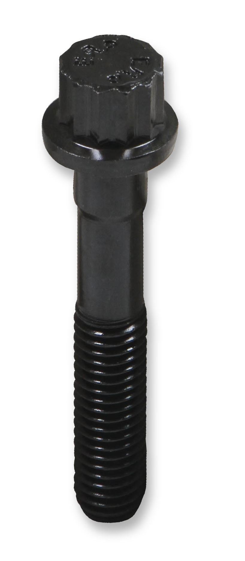 tbs-001erl_03.jpg