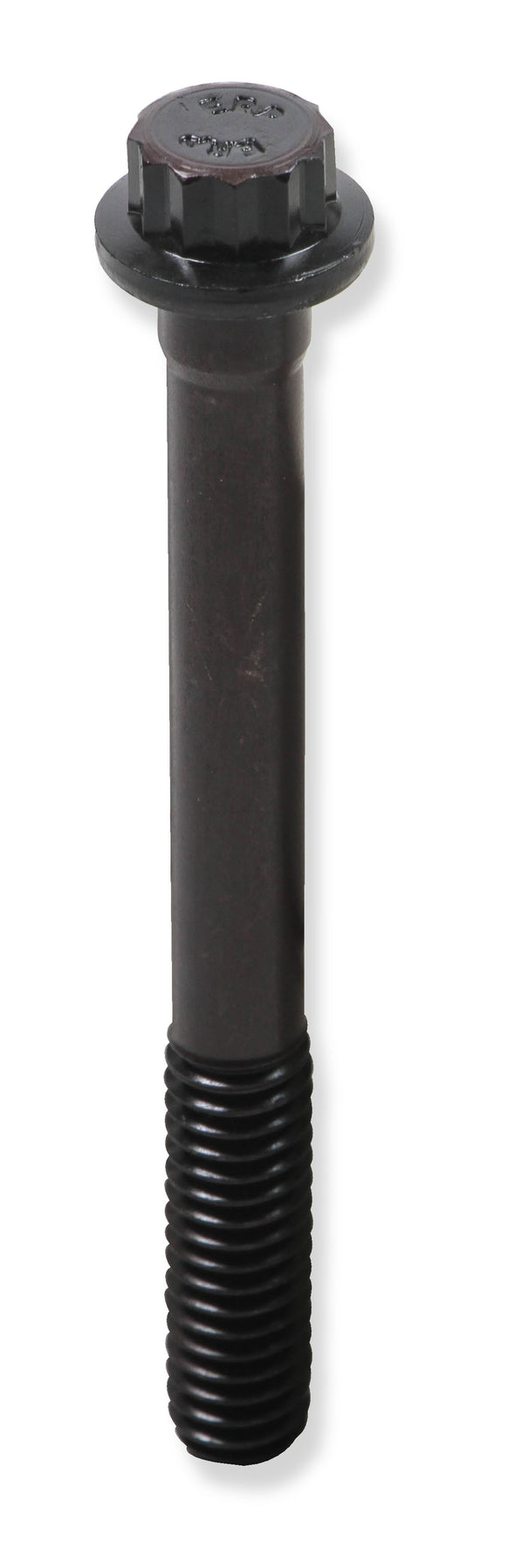 tbs-002erl_03.jpg